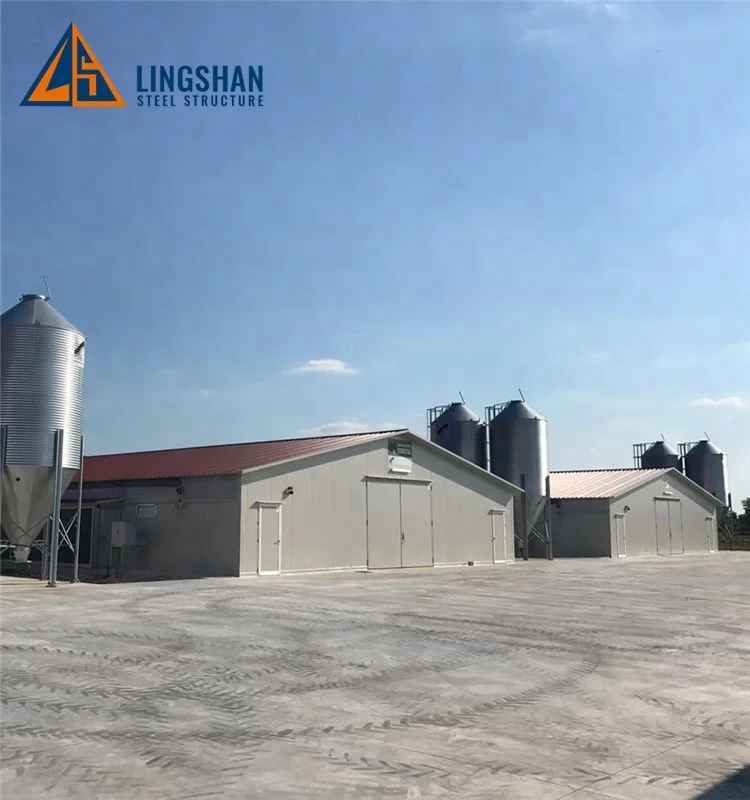 2024 заводская цена курятник домашний дом Бройлер птицефабрика для 1000