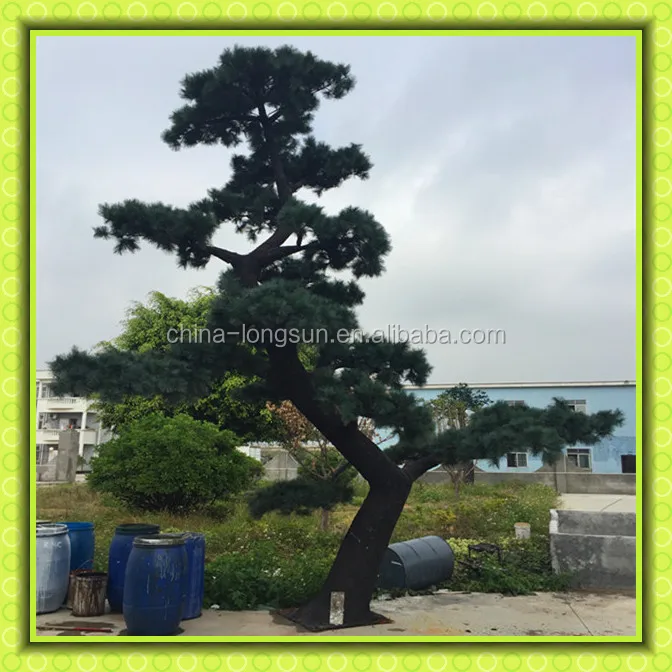 LSD-1222517 Лучшее качество высокая имитация искусственный декоративные сосна