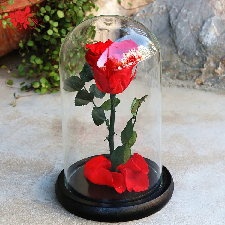 Cheap bulk christmas gifts long lasting real rose flowers forever preserved with stem