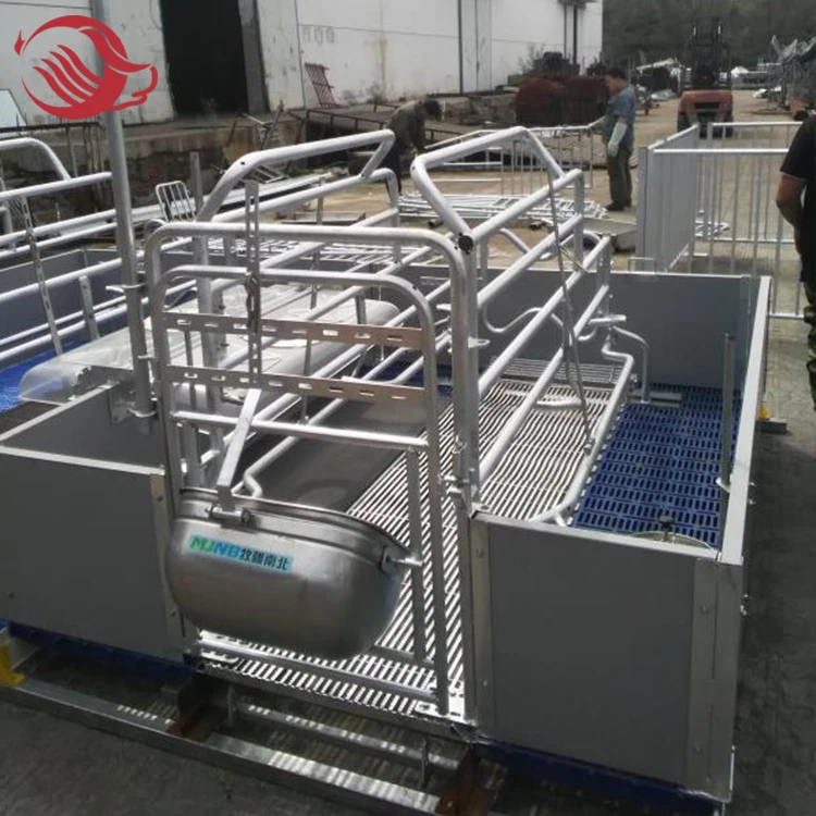 Hot dip galvanized customized size Sow farrowing cage for swine farm
