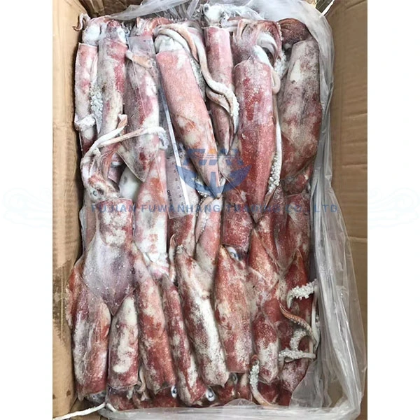 
Frozen squid wild caught loligo squid whole round 