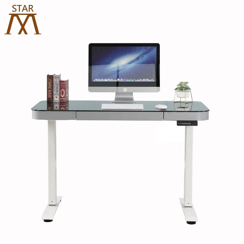 
Germany Dual Motors Intelligent Electric Height Adjustable Standing Desk Two Segments Lifting Column 