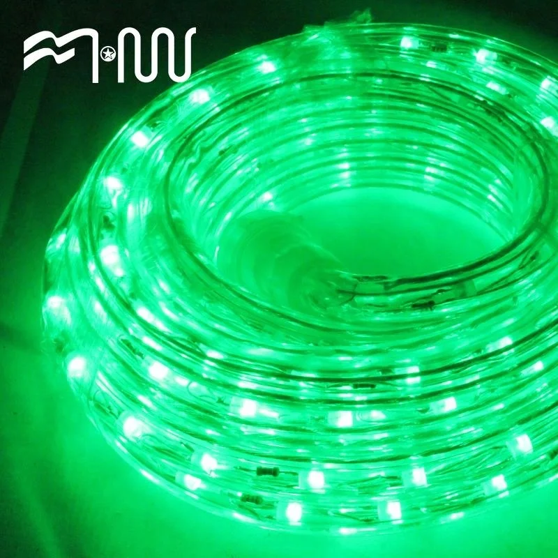 RGB Plastic outdoor festival led strip light rope light water tube light