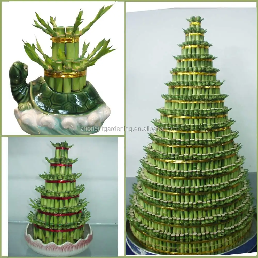 Многослойная башня, бамбуковое дерево бонсай на удачу, драцена, сандерия, декоративные водные растения в помещении, украшение для сада