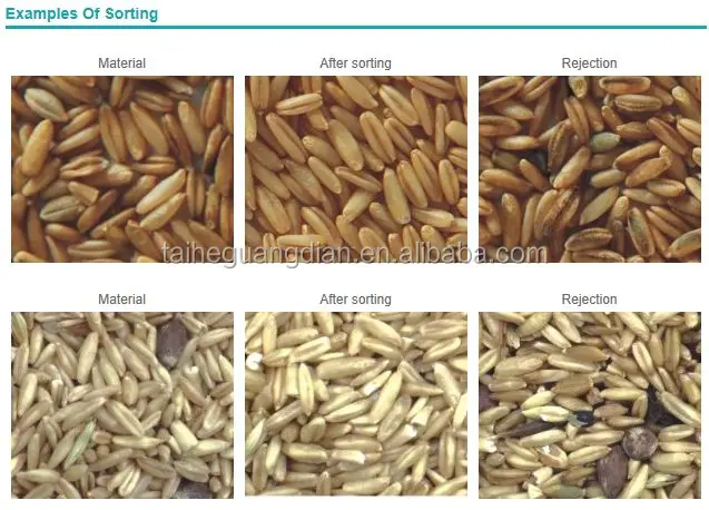 CCD wheat and grain Color sorter 6SXZ-378