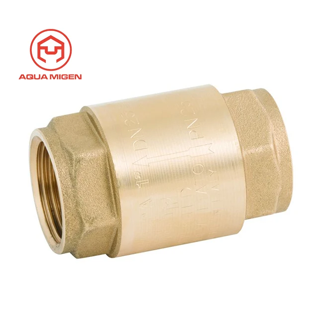 Brass Body Europa Spring Check Valve