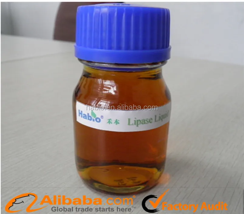 Supply Tannery chemical/Biodiesel/Flour/catalyst lipase