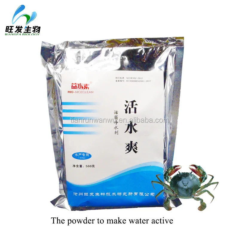 Beneficial microbes powder for aquaculture pond water