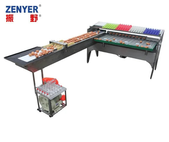 
Best quality egg grading sorting machine/egg grader with high efficiency 
