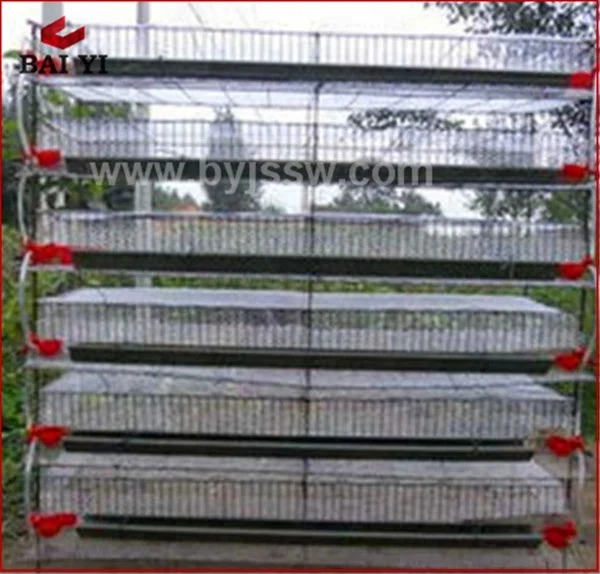 Poultry Quail Farming Equipment Cage Accessories With Tray