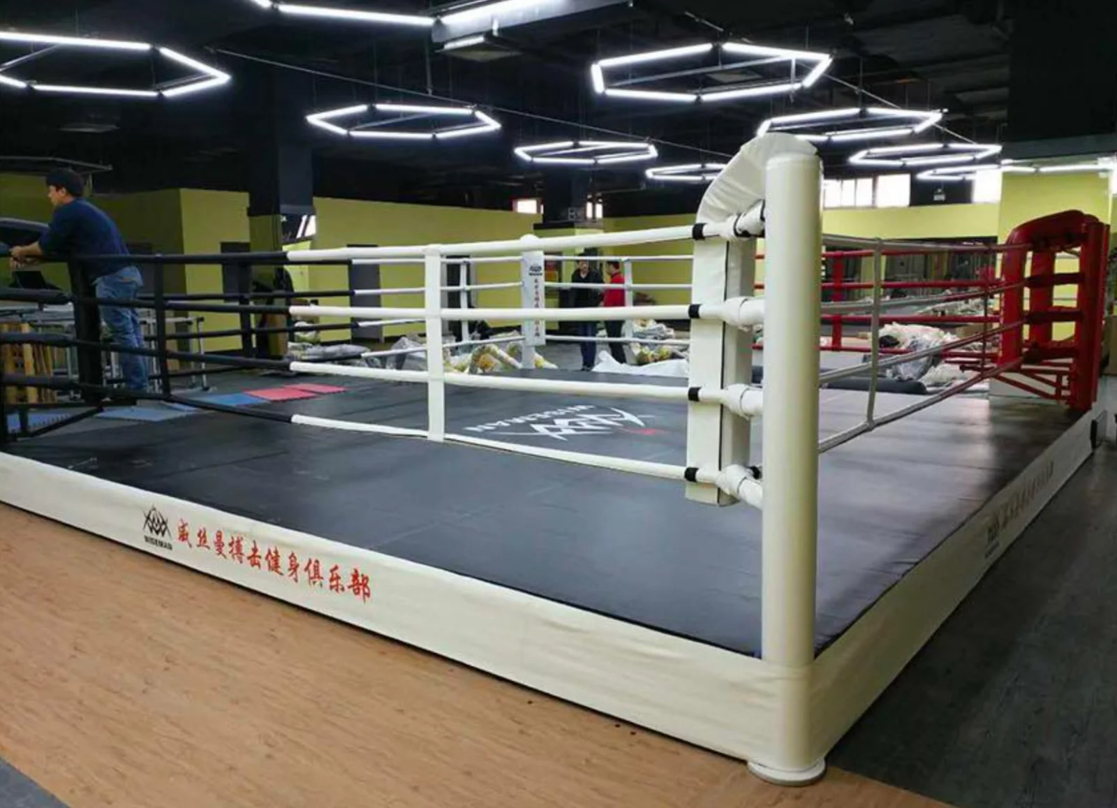 Cheap Competition Boxing Ring MMA cage wrestling cage  Ring de boxeo for export