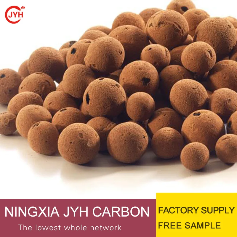 Supply Ceramsite Soilless Culture Hydroponic Plants Flower Home Decor Micro Landscape