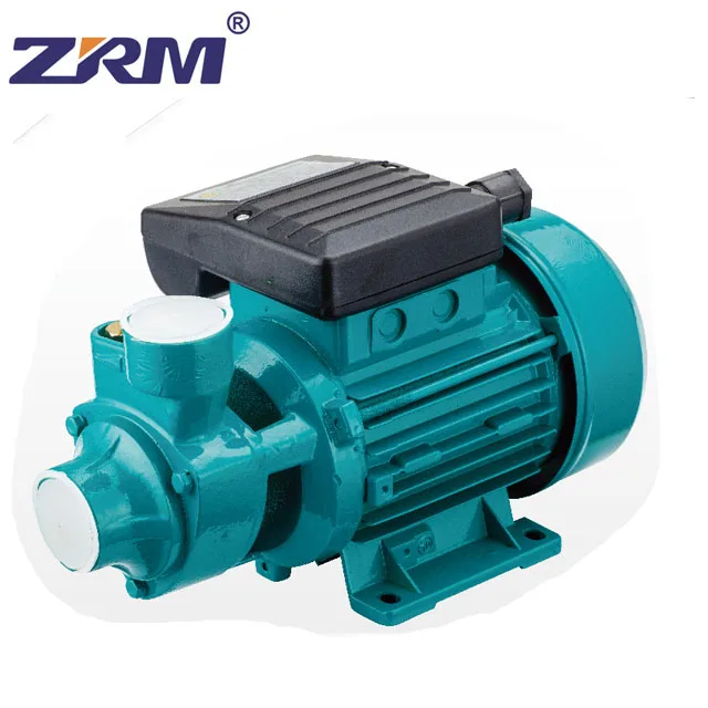 QB60 water pump 220V 0.5HP Electric Surface Peripheral Vortex Water Pump