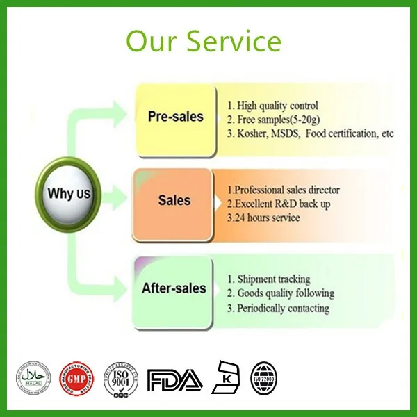 Best price Natural organic Allium sativum L/1%Allicin Garlic Extract powder