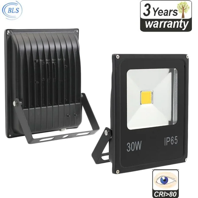 DC 12V 20 Watt 30 Watt 50 Watt LED Flood Light 12-24V