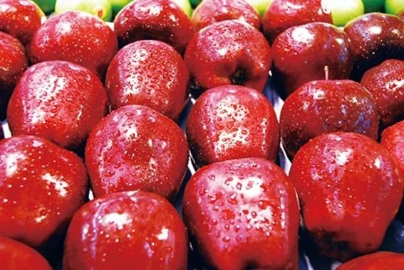 Lower price with paper bagged FUJI APPLES