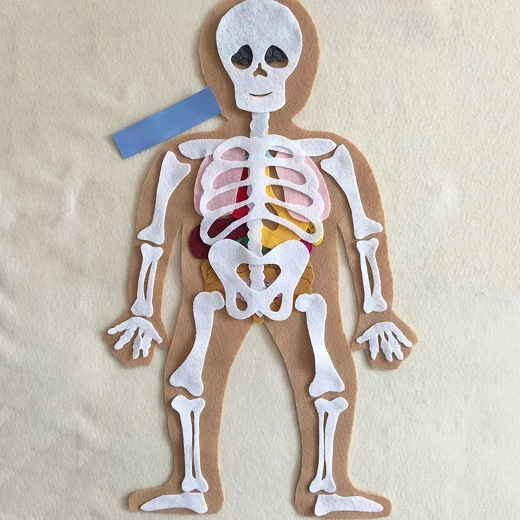 
Kids education use felt human skeleton model toys with logo printed 