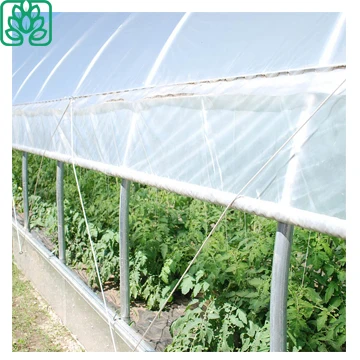 Сельскохозяйственные тепличные рамы большого размера на продажу
