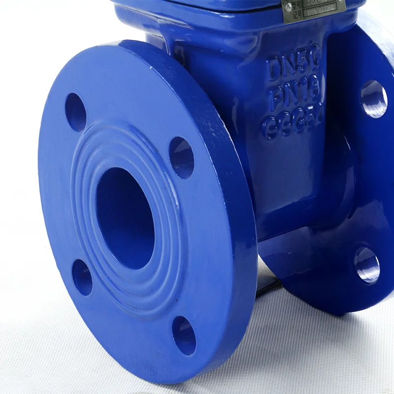 Задвижка 30ч39р ду100