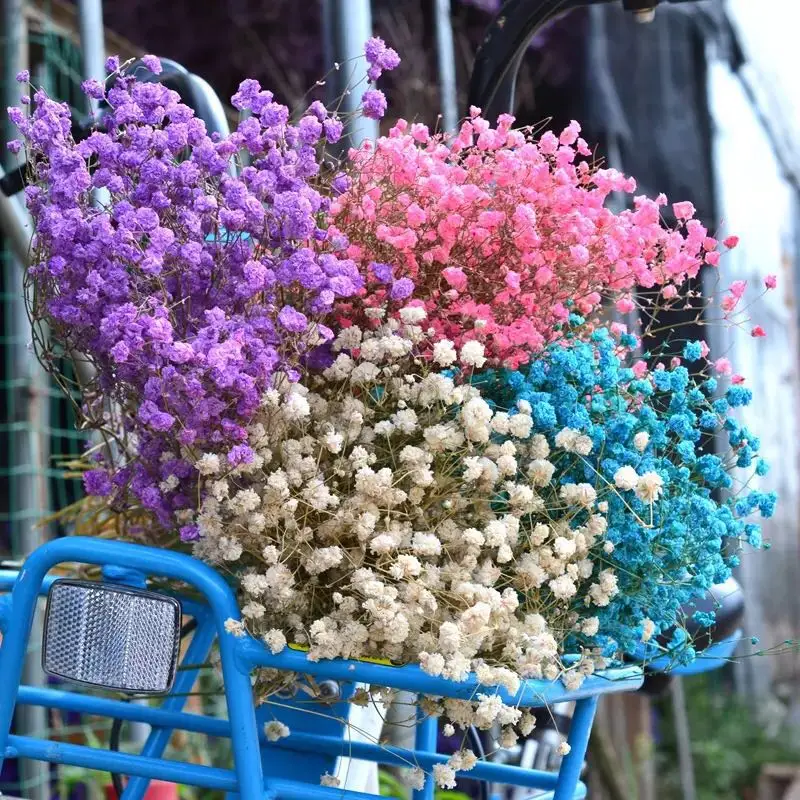 Factory Price Dried Jasmine Dried Flowers Jewelry Dried Flowers Preserved