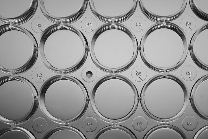 Non- treated 6 well cell culture plate, Individually Packaged in Plastic Bag