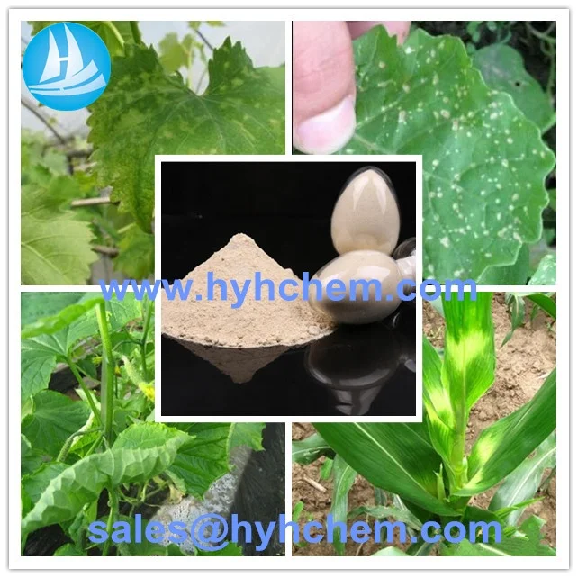 Bactericide Pyraclostrobine price 98% TC