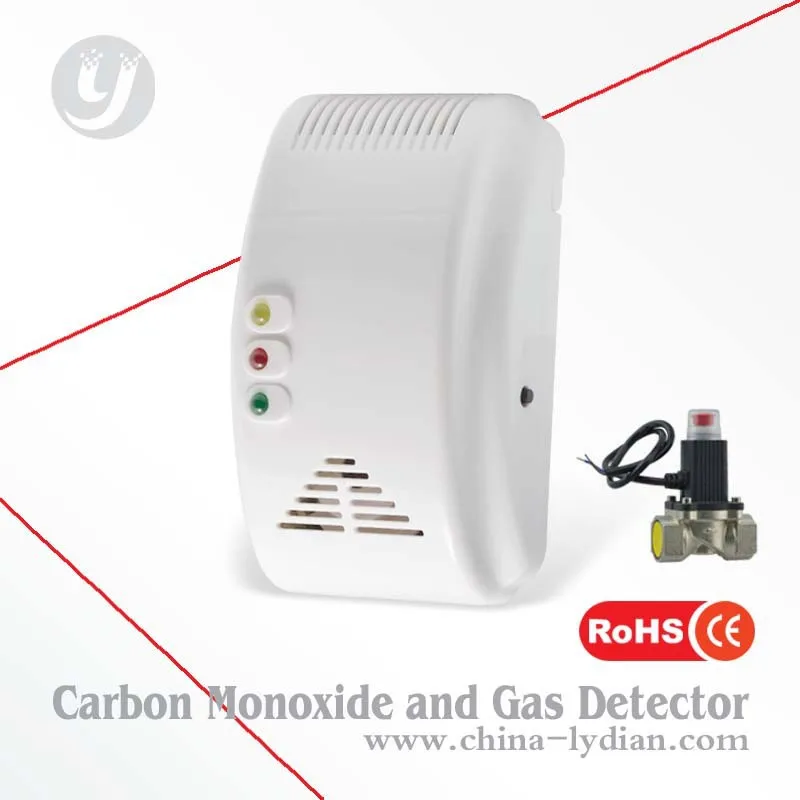Home Natural Gas Detector nature gas selenoid valve lyd-706dv