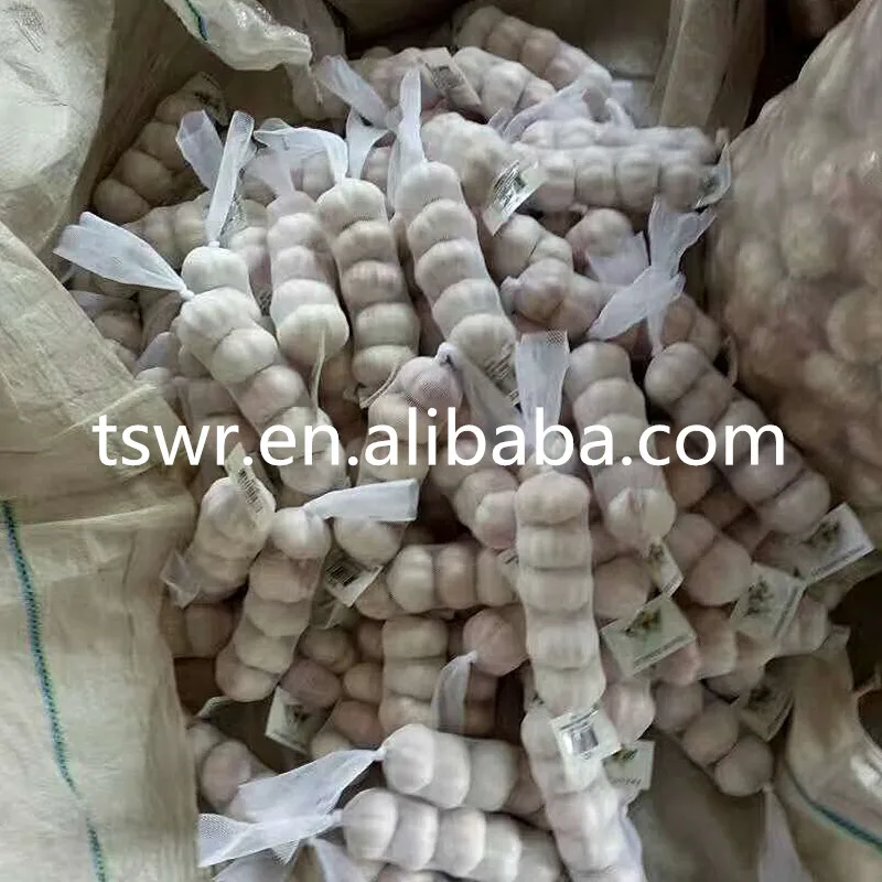 
CHINA GARLIC 2020 FRESH NORMAL WHITE GARLIC WHOLESALE 
