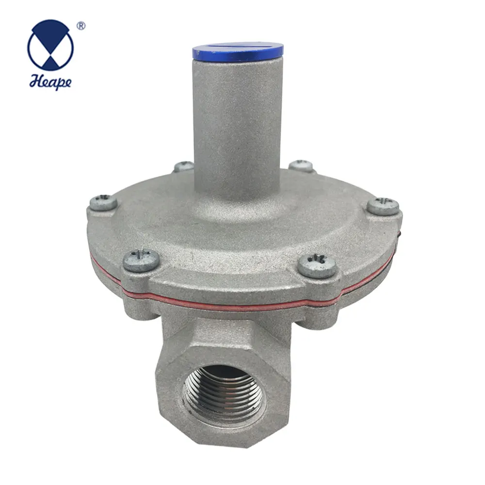 
HEAPE Professional Industrial Gas Regulator 