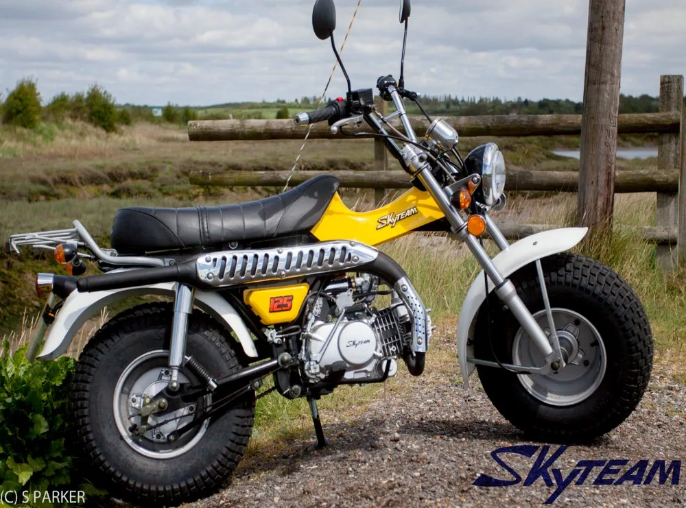  SKYTEAM T-REX 50cc 4-тактный на дорожный мотоцикл (одобренный ЕЭС 5 5-10 