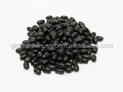Black Beans Dried Kidney Beans Pulses