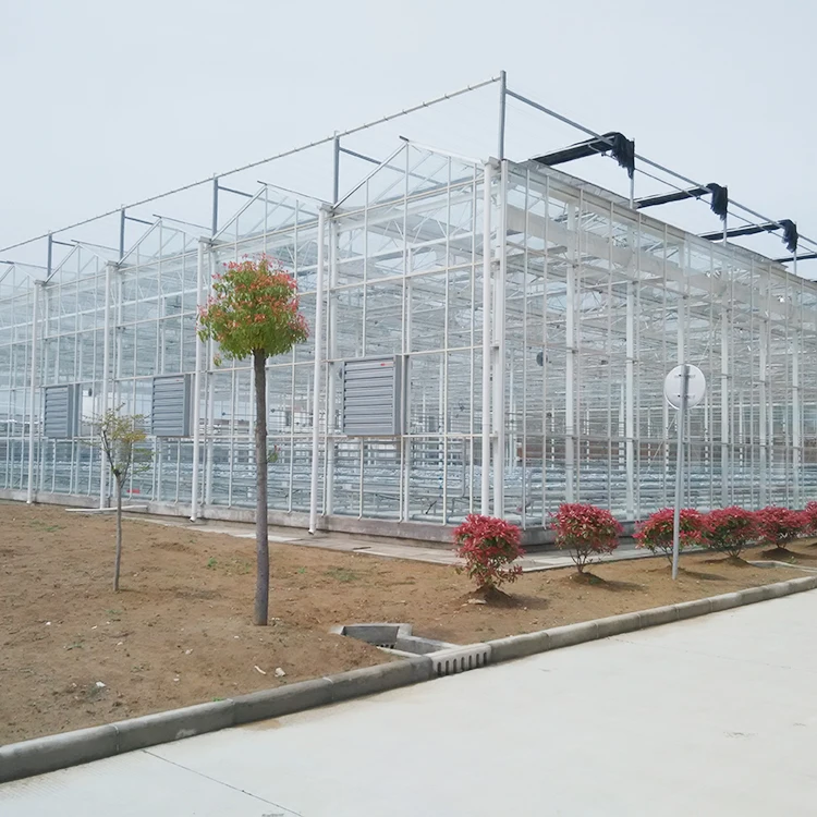 
Agricultural Glass Panel Galvanized Steel Structure Greenhouse For Tomato 