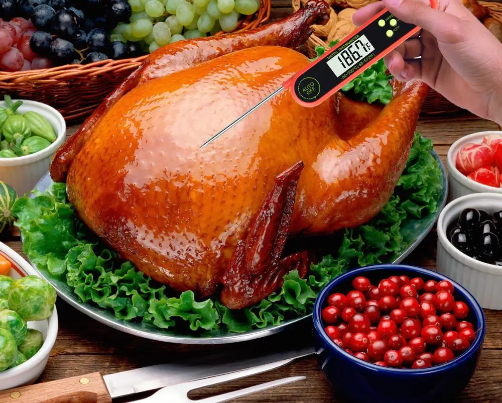 Food temperature meter meat milk bbq turkey thermometer digital food meat thermometer DTH-132