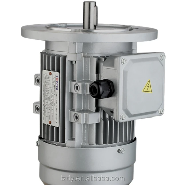 MS SERIES THREE PHASE INDUCTION MOTOR