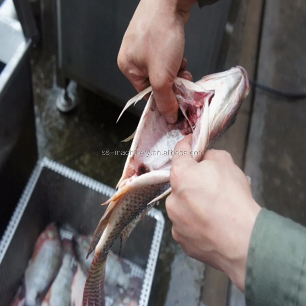 Multifunctional fish cleaning machine fish scale remove machine fish killing machine