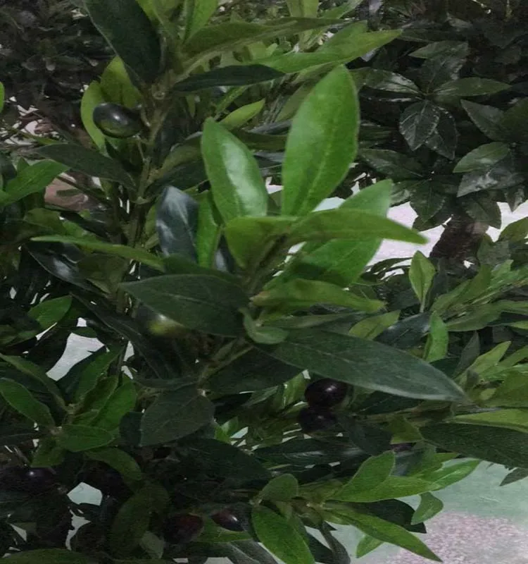 Middle And Small Artificial Olive Tree Artificial Tea Tree For Home Garden Decoration