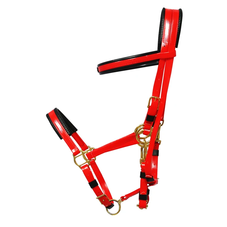 pvc endurance horse bridle for racing