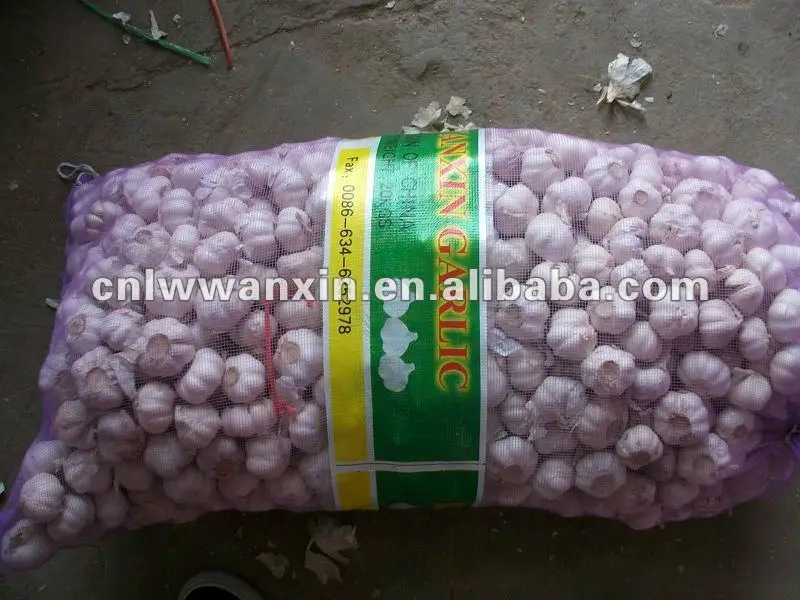 
segar bawang putih 