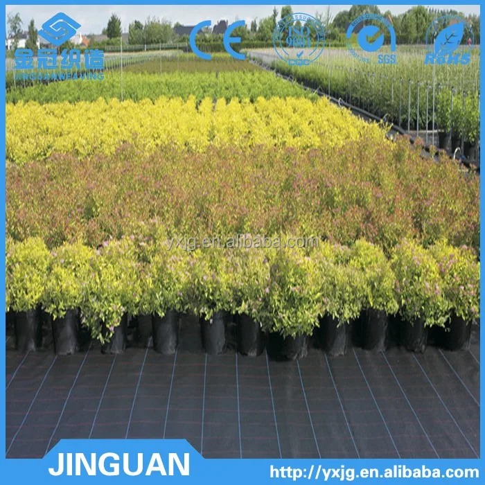 Weed control mat woven PP Ground Cover silt fence fabric mulch film polypropylene woven weed mat