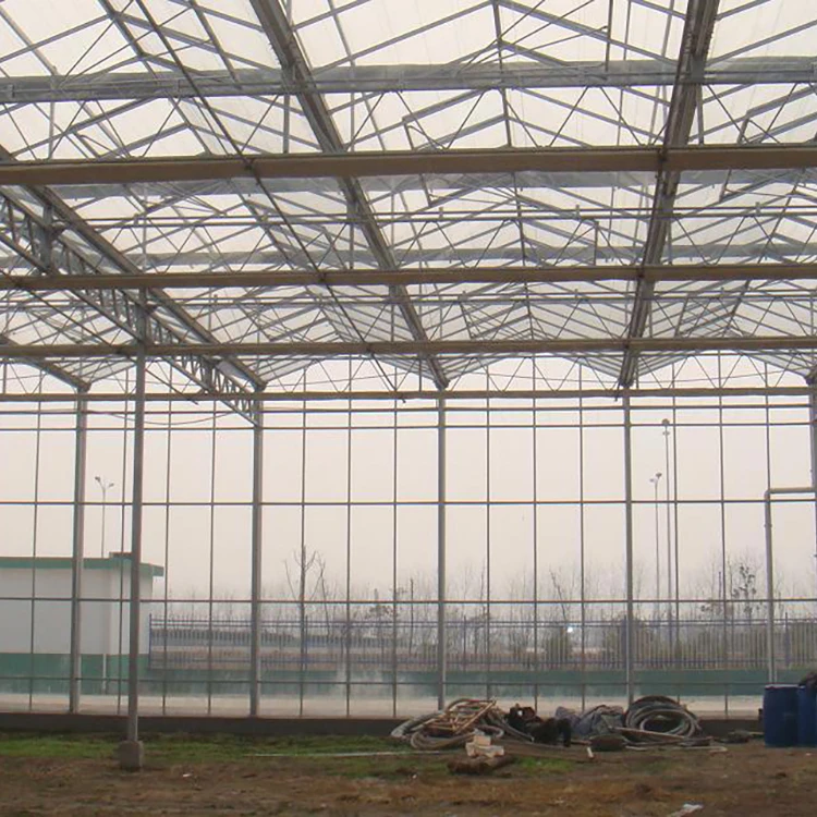 
Mutli span plastic film agriculture glass multi-span garden polycarbonate greenhouse 