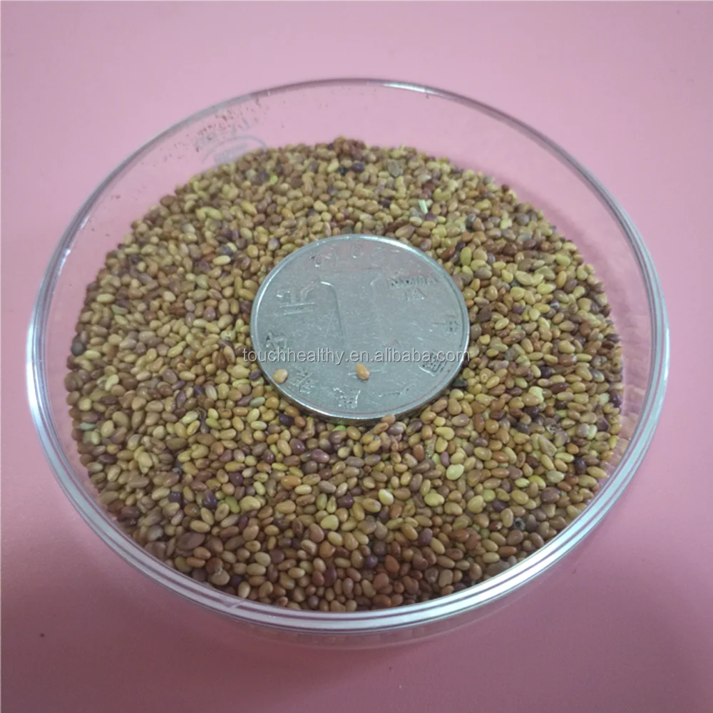 2021 Red Clover seeds/ T.prate nse Linn seeds/forage grass seeds