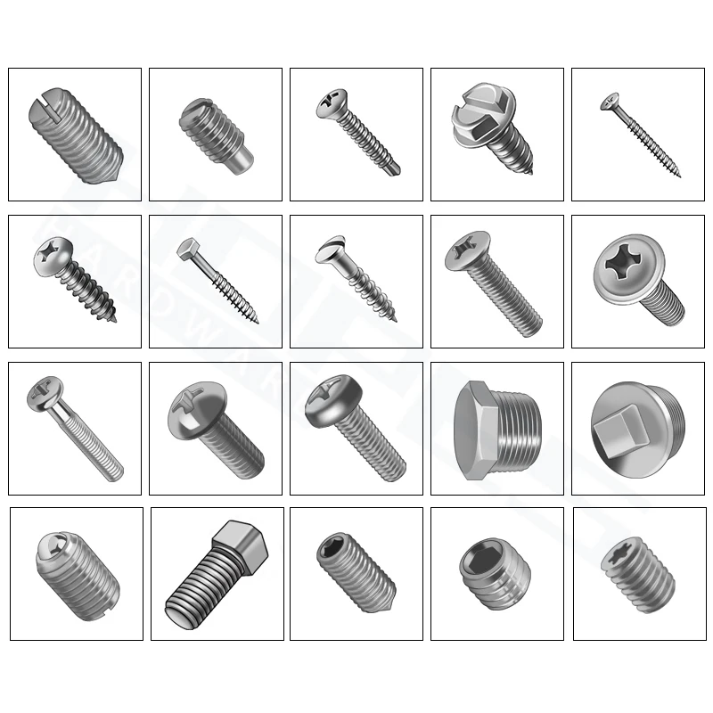 Stainless Steel A2 A4 SUS304 316 Diameter 4mm 5mm 6mm 8mm Anchor Bolt Screw for Ceiling Hollow Brick