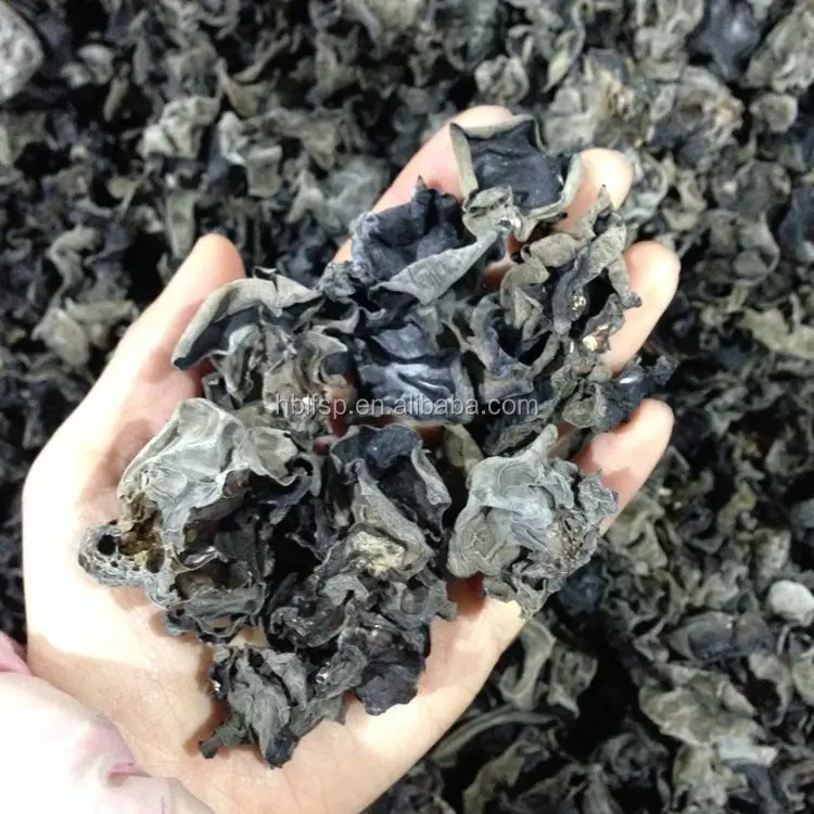 Здоровый Сушеный Гриб Черный Гриб для России