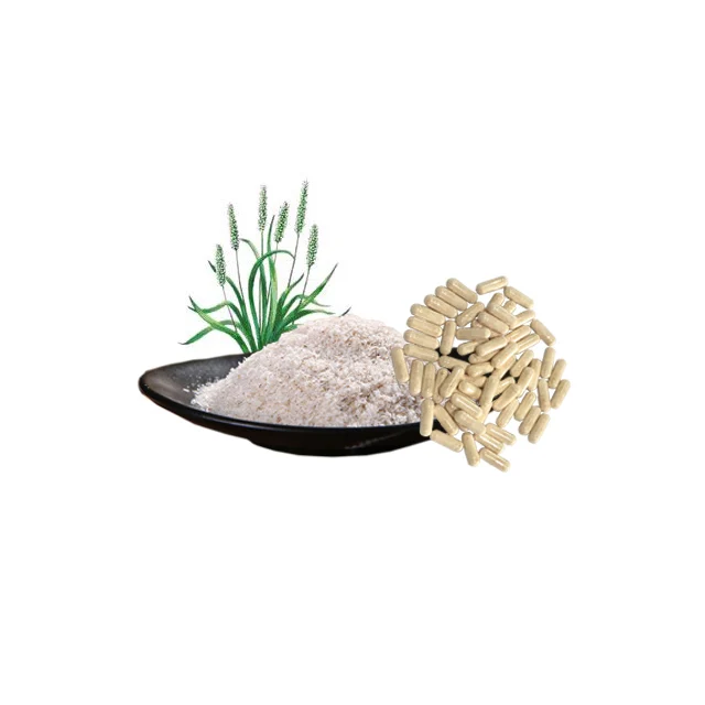 Lifeworth organic slimming dietary fiber psyllium husk capsules