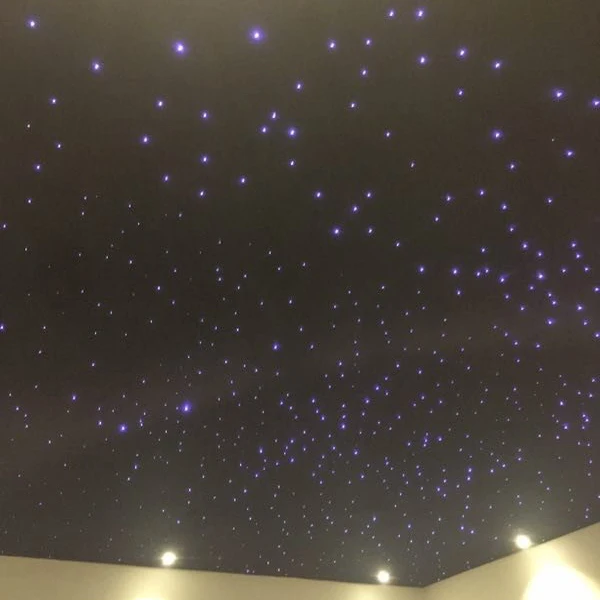 Wholesale Price Ceiling Star Light Panel LED Lighting With Remote Control