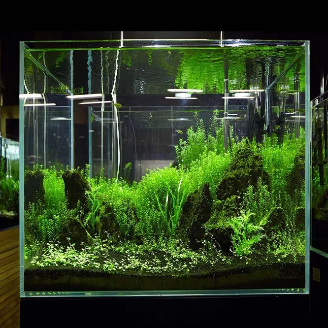 5000L-50000L customized huge glass aquarium for hotel and market