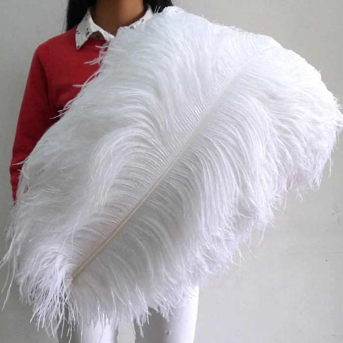 AYFOF--21 75-80cm selected top quality large white ostrich feathers for sale