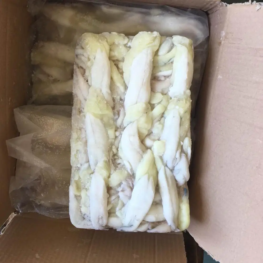 illex Argentine squid egg good quality