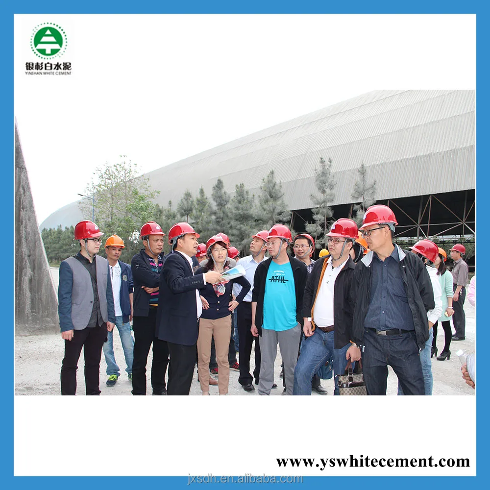 Chinese white ordinary portland cement type 50kg per bag for export