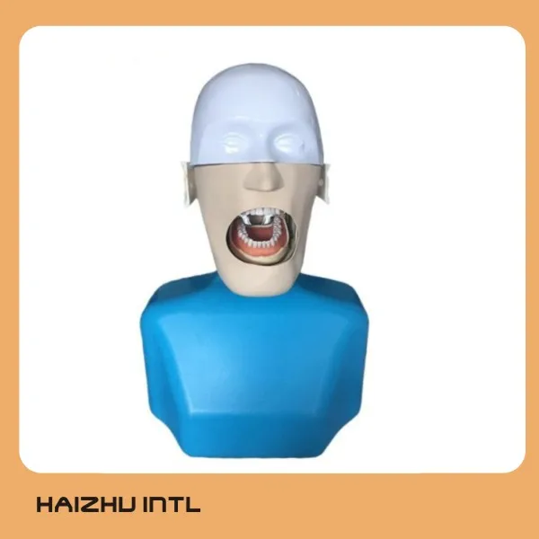 Dental Simulation Training System, Dental Phantom Head, Dental Manikin with torso